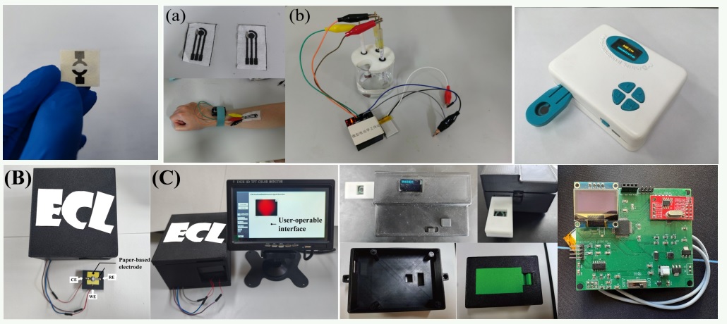 电化学传感器及检测系统